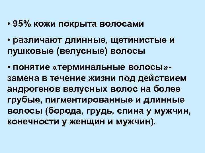  • 95% кожи покрыта волосами • различают длинные, щетинистые и пушковые (велусные) волосы