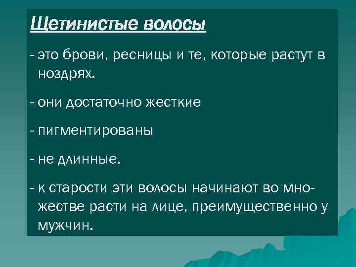 Щетинистые волосы - это брови, ресницы и те, которые растут в ноздрях. - они