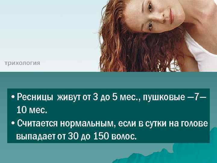  • Ресницы живут от 3 до 5 мес. , пушковые — 7— 10
