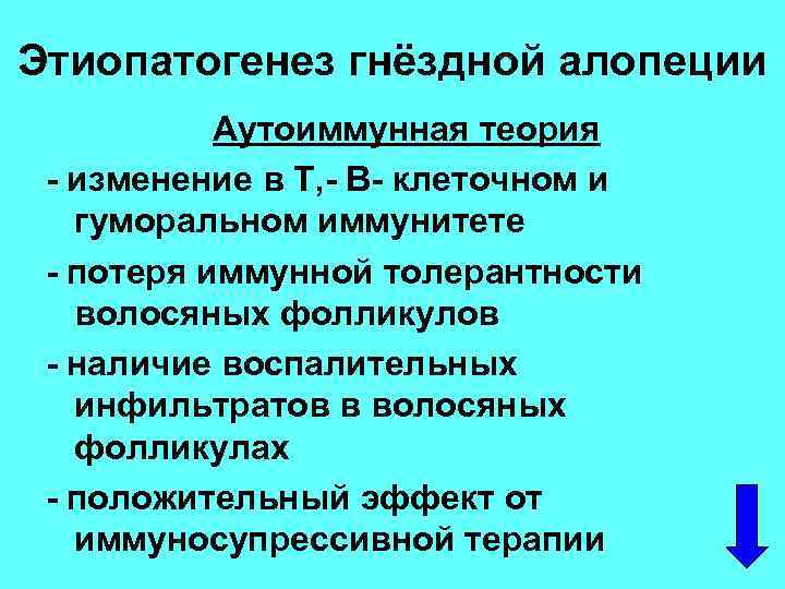 Этиопатогенез гнёздной алопеции Аутоиммунная теория - изменение в Т, - В- клеточном и гуморальном