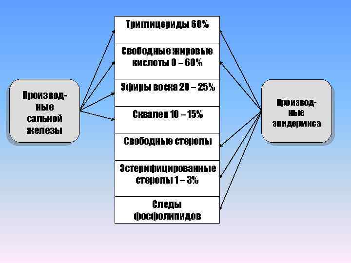 Триглицериды 60% Свободные жировые кислоты 0 – 60% Производные сальной железы Эфиры воска 20