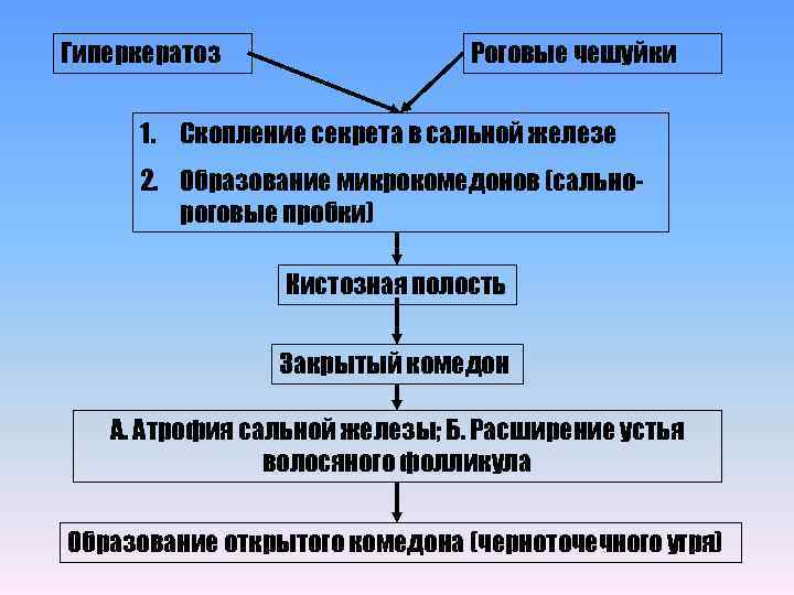 Гиперкератоз Роговые чешуйки 1. Скопление секрета в сальной железе 2. Образование микрокомедонов (сальнороговые пробки)