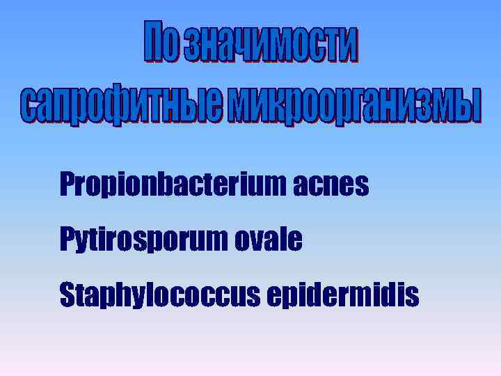 Propionbacterium acnes Pytirosporum ovale Staphylococcus epidermidis 
