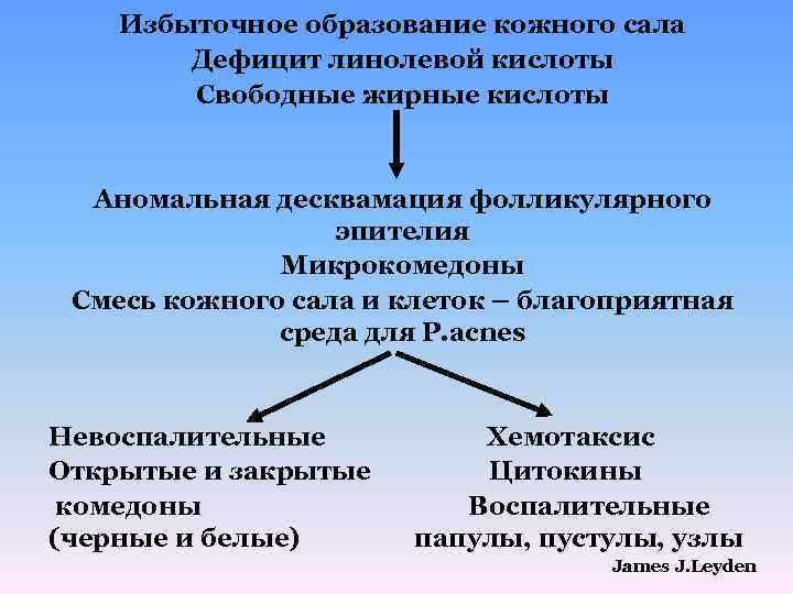 Избыточная секреция. Образование кожного сала. Причины образования излишек. Воспалительные образования кожи. Аномальные кислоты.