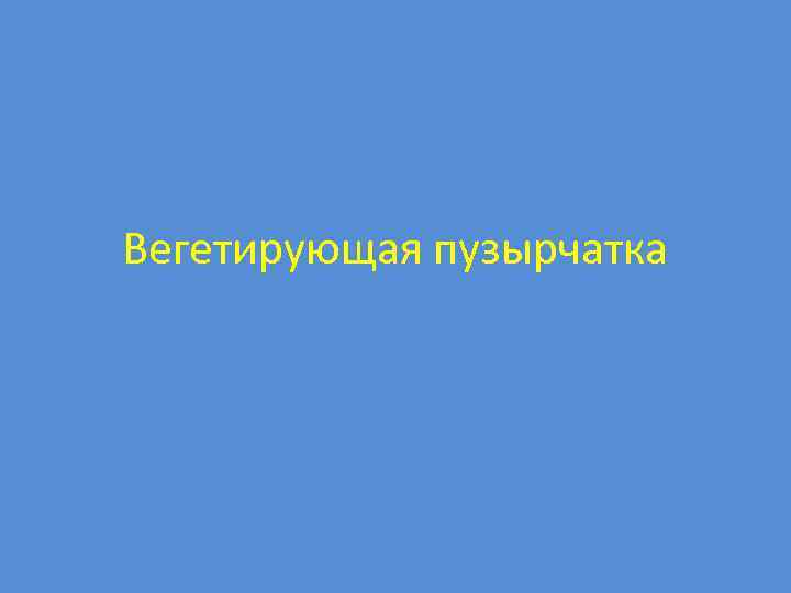 Вегетирующая пузырчатка 