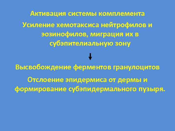 Активация системы комплемента Усиление хемотаксиса нейтрофилов и эозинофилов, миграция их в субэпителиальную зону Высвобождение