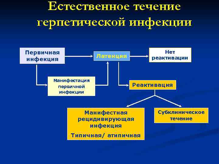 Естественное течение герпетической инфекции Первичная инфекция Нет реактивации Латенция Манифестация первичной инфекции Реактивация Манифестная