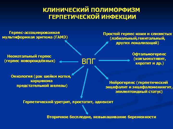 КЛИНИЧЕСКИЙ ПОЛИМОРФИЗМ ГЕРПЕТИЧЕСКОЙ ИНФЕКЦИИ Герпес-ассоциированная мультиформная эритема (ГАМЭ) Неонатальный герпес (герпес новорождённых) Онкология (рак