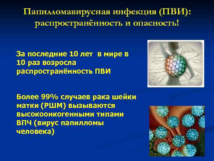 Папилломавирусная инфекция (ПВИ): распространённость и опасность! За последние 10 лет в мире в 10
