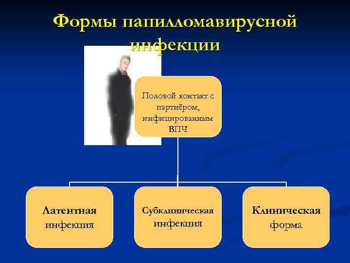 Формы папилломавирусной инфекции Половой контакт с партнёром, инфицированным ВПЧ Латентная инфекция Субклиническая инфекция Клиническая