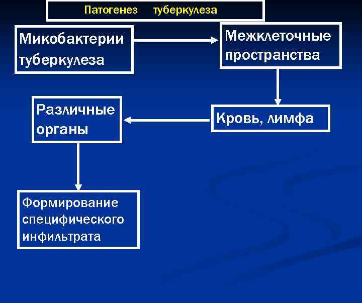 Туберкулез патогенез. Схема патогенеза туберкулезного процесса. Патогенез туберкулеза. Патогенез инфильтративного туберкулеза. Патогенез микобактерии туберкулеза.