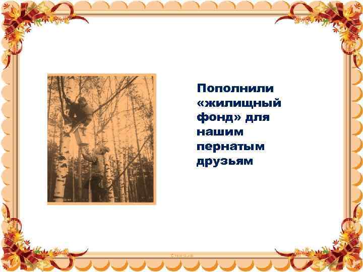 Пополнили «жилищный фонд» для нашим пернатым друзьям 