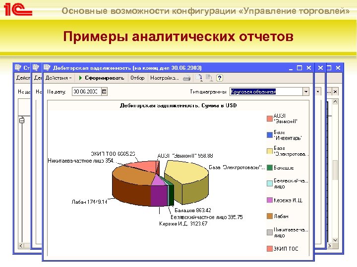Основные возможности конфигурации «Управление торговлей» Примеры аналитических отчетов 