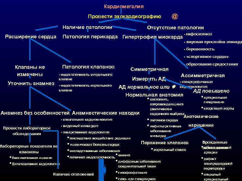 Кардиомегалия Провести эхокардиографию Наличие патологии Расширение сердца @ Отсутствие патологии Патология перикарда Гипертрофия миокарда