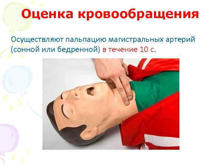 Оценка кровообращения Осуществляют пальпацию магистральных артерий (сонной или бедренной) в течение 10 с. 