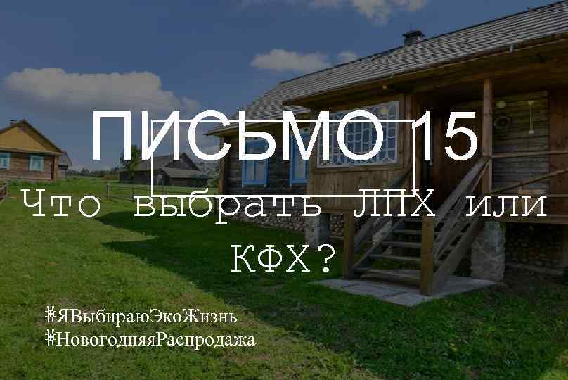 ПИСЬМО 15 Что выбрать ЛПХ или КФХ? #ЯВыбираю. Эко. Жизнь #Новогодняя. Распродажа 