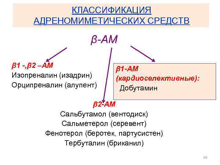 КЛАССИФИКАЦИЯ АДРЕНОМИМЕТИЧЕСКИХ СРЕДСТВ β-АМ β 1 -, β 2 –АМ Изопреналин (изадрин) Орципреналин (алупент)