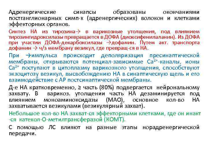 Адренергические синапсы образованы окончаниями постганглионарных симп-х (адренергических) волокон и клетками эффекторных органов. Синтез НА