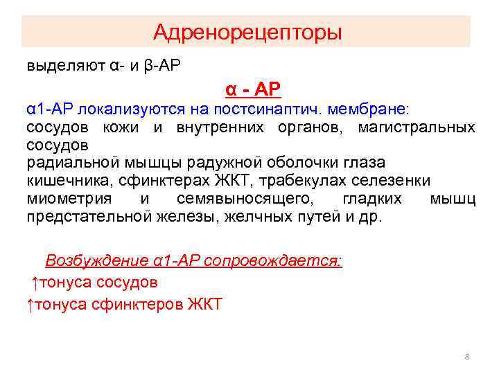 Адренорецепторы выделяют α- и β-АР α - АР α 1 -АР локализуются на постсинаптич.