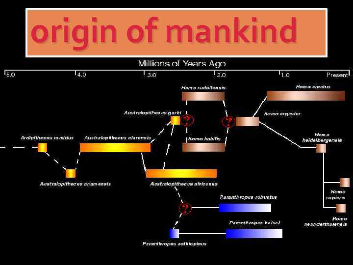 origin of mankind 