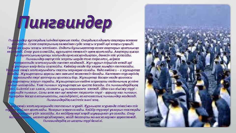 Пингвиндер құстардың ішіндегі ерекше тобы. Олардың алдыңғы аяқтары ескекке айналған. Ескек аяқтарының көмегімен суда