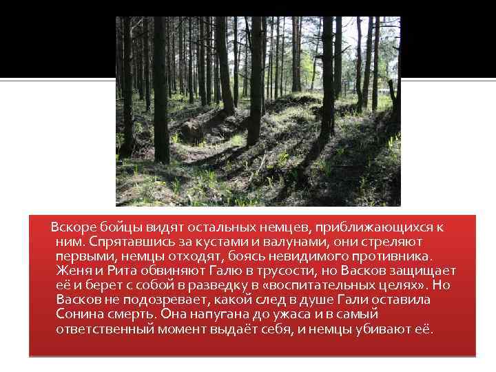 Вскоре бойцы видят остальных немцев, приближающихся к ним. Спрятавшись за кустами и валунами, они