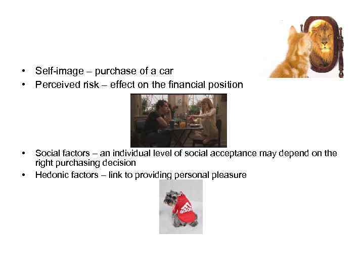  • Self-image – purchase of a car • Perceived risk – effect on