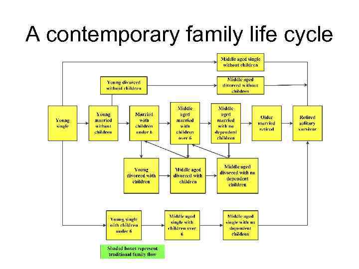 A contemporary family life cycle 