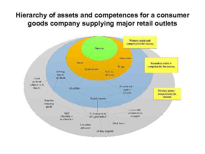 Hierarchy of assets and competences for a consumer goods company supplying major retail outlets