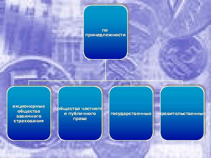 по принадлежности акционерные общества взаимного страхования общества частного и публичного права государственные правительственные 