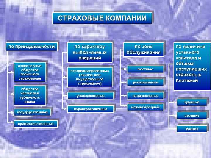 СТРАХОВЫЕ КОМПАНИИ по принадлежности акционерные общества взаимного страхования общества частного и публичного права государственные