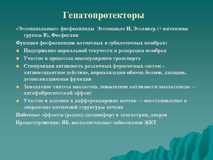Гепатопротекторы «Эссенциальные» фосфолипиды Эссенциале Н, Эссливер (+ витамины группы В), Фосфоглив Функции фосфолипидов клеточных
