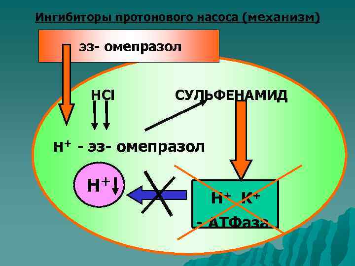 Ингибиторы омепразол. Ингибиторы протонного насоса механизм действия. Ингибитор протонного насоса Омепразол. Ингибиторы протонового насоса механизм действия. Ингибиторы протонной помпы механизм действия.