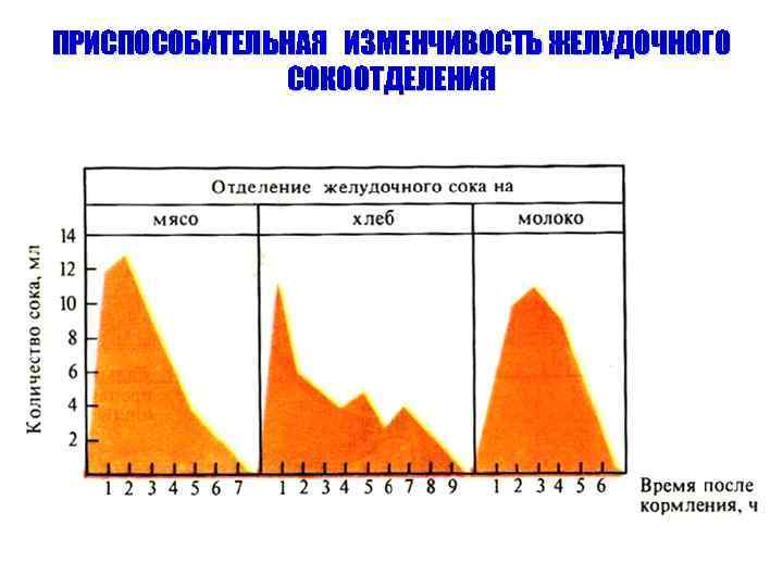 ПРИСПОСОБИТЕЛЬНАЯ ИЗМЕНЧИВОСТЬ ЖЕЛУДОЧНОГО СОКООТДЕЛЕНИЯ 