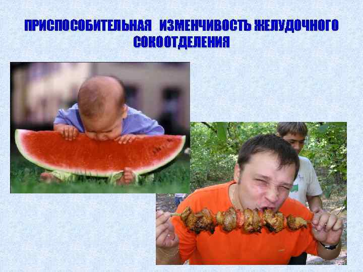 ПРИСПОСОБИТЕЛЬНАЯ ИЗМЕНЧИВОСТЬ ЖЕЛУДОЧНОГО СОКООТДЕЛЕНИЯ 