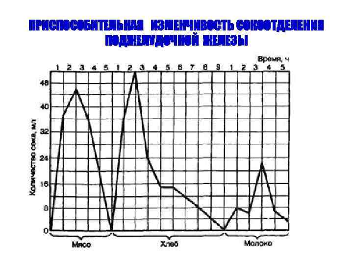 ПРИСПОСОБИТЕЛЬНАЯ ИЗМЕНЧИВОСТЬ СОКООТДЕЛЕНИЯ ПОДЖЕЛУДОЧНОЙ ЖЕЛЕЗЫ 