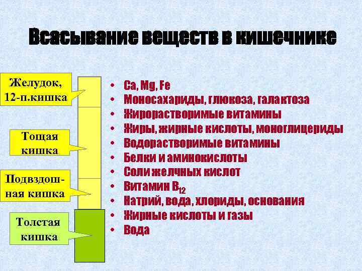 Всасывания веществ. Всасывание в желудке. Какие вещества всасываются в желудке. Всасывание веществ в кишечнике. Всасывание в ЖКТ.