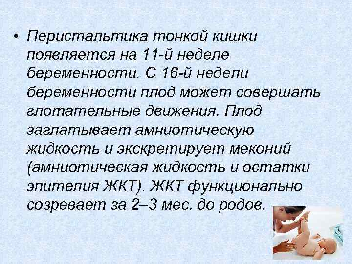  • Перистальтика тонкой кишки появляется на 11 -й неделе беременности. С 16 -й