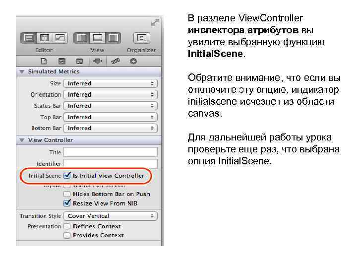 В разделе View. Controller инспектора атрибутов вы увидите выбранную функцию Initial. Scene. Обратите внимание,