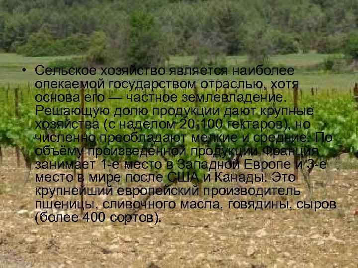  • Сельское хозяйство является наиболее опекаемой государством отраслью, хотя основа его — частное