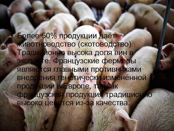  • Более 50% продукции даёт животноводство (скотоводство). Традиционно высока доля вин в экспорте.