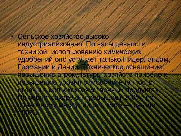  • Сельское хозяйство высоко индустриализовано. По насыщенности техникой, использованию химических удобрений оно уступает