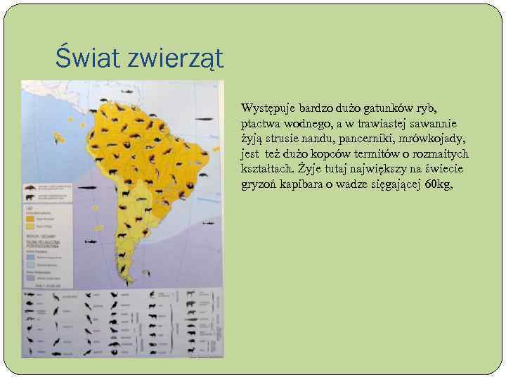 Świat zwierząt Występuje bardzo dużo gatunków ryb, ptactwa wodnego, a w trawiastej sawannie żyją