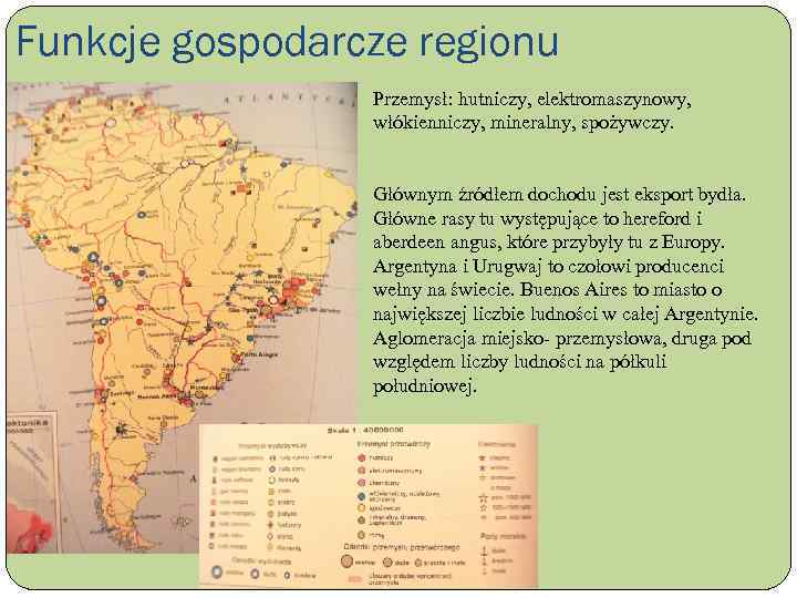 Funkcje gospodarcze regionu Przemysł: hutniczy, elektromaszynowy, włókienniczy, mineralny, spożywczy. Głównym źródłem dochodu jest eksport