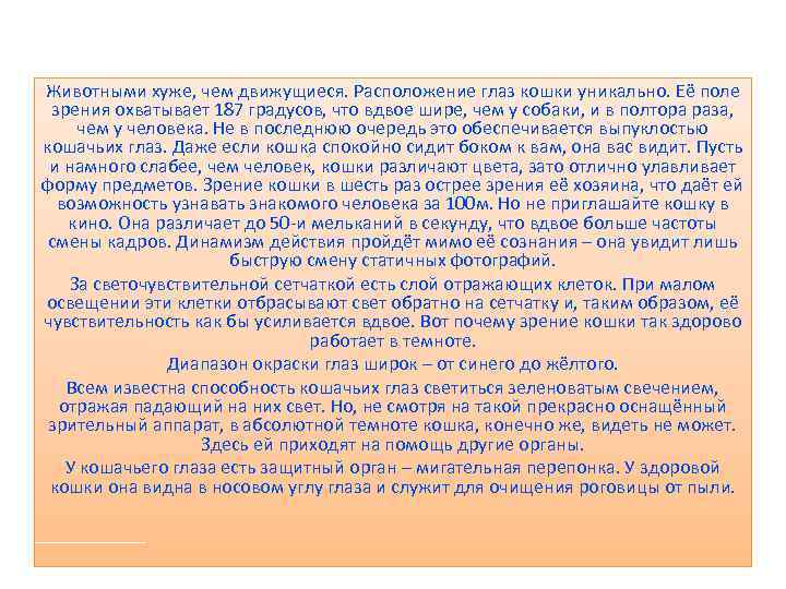 Животными хуже, чем движущиеся. Расположение глаз кошки уникально. Её поле зрения охватывает 187 градусов,