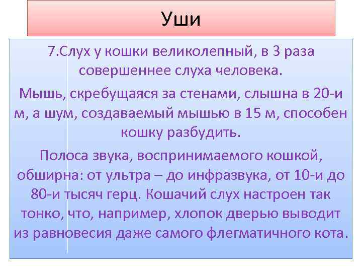 Уши 7. Слух у кошки великолепный, в 3 раза совершеннее слуха человека. Мышь, скребущаяся