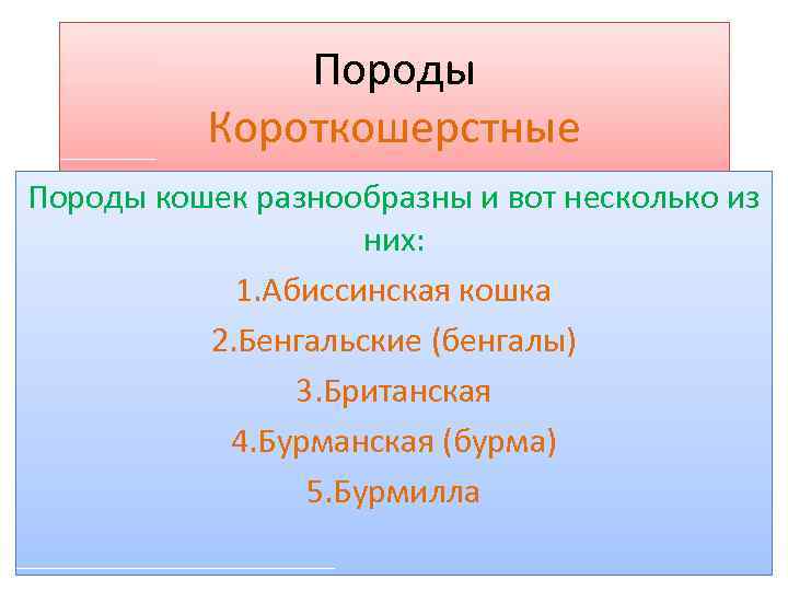 Породы Короткошерстные Породы кошек разнообразны и вот несколько из них: 1. Абиссинская кошка 2.