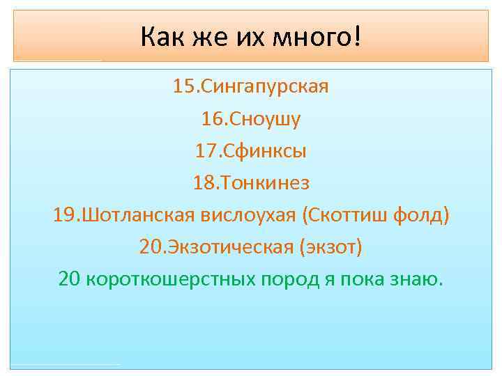 Как же их много! 15. Сингапурская 16. Сноушу 17. Сфинксы 18. Тонкинез 19. Шотланская