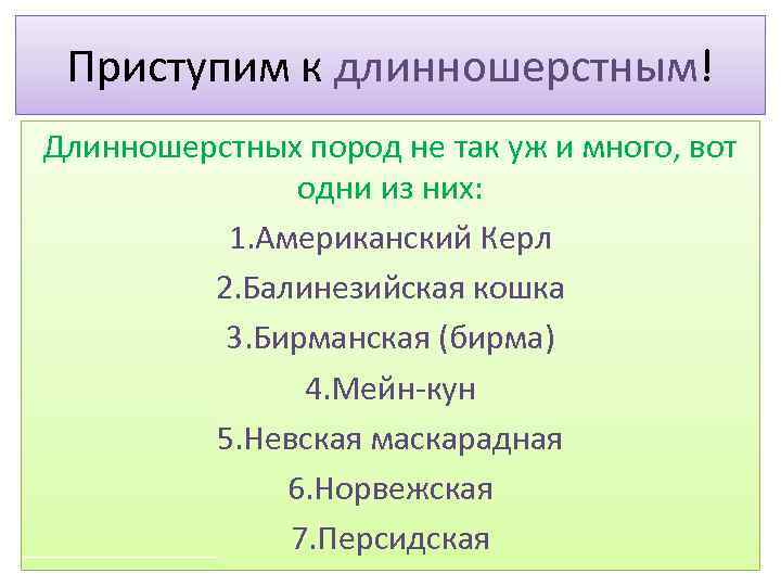 Приступим к длинношерстным! Длинношерстных пород не так уж и много, вот одни из них: