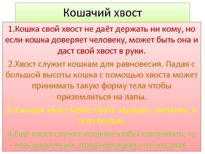 Кошачий хвост 1. Кошка свой хвост не даёт держать ни кому, но если кошка